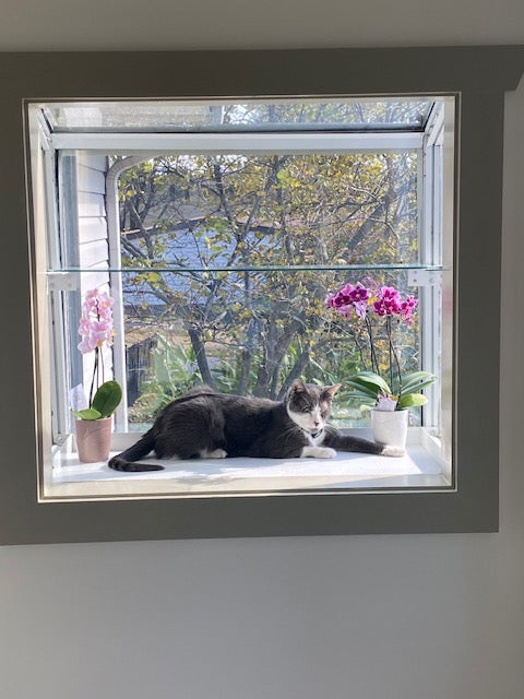 Janco Garden Window — Aluminum and Glass Kit