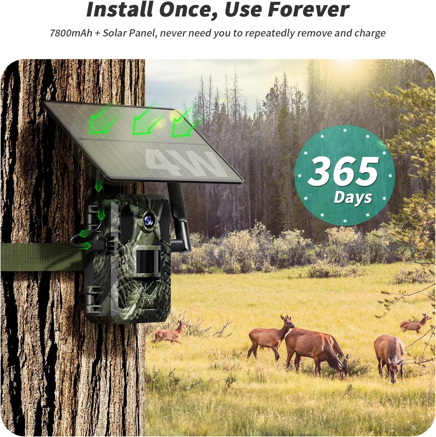 Cellular Trail Camera 2K Solar Live View with SIM Support product image 6